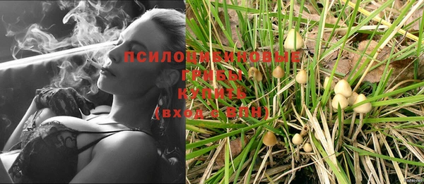 дмт Белоозёрский