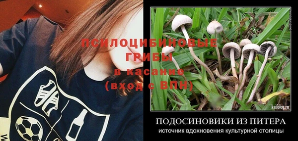 кокаин премиум Белокуриха