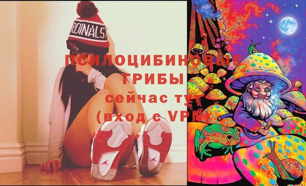 apvp Беломорск