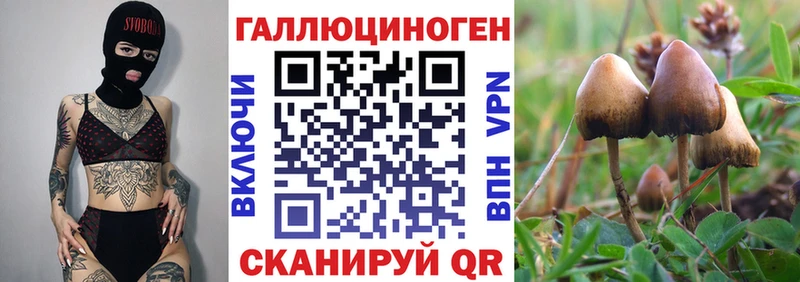 Галлюциногенные грибы Magic Shrooms  наркотики  Котлас 